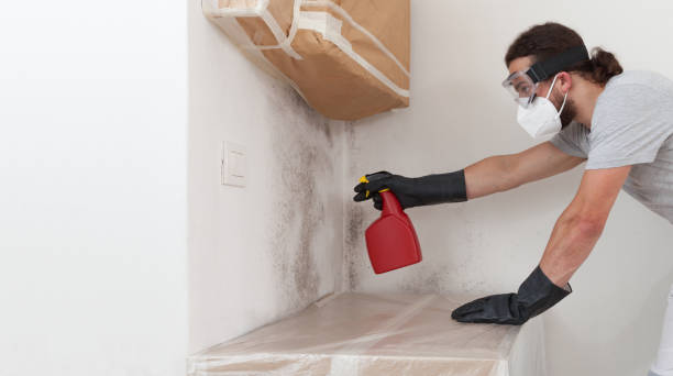 Professional Black Mold Remediation technician working in Goodrich, MI