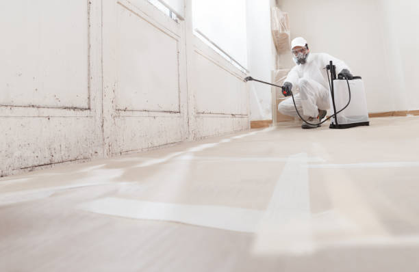 24/7 Emergency Black Mold Remediation experts in Goodrich, MI