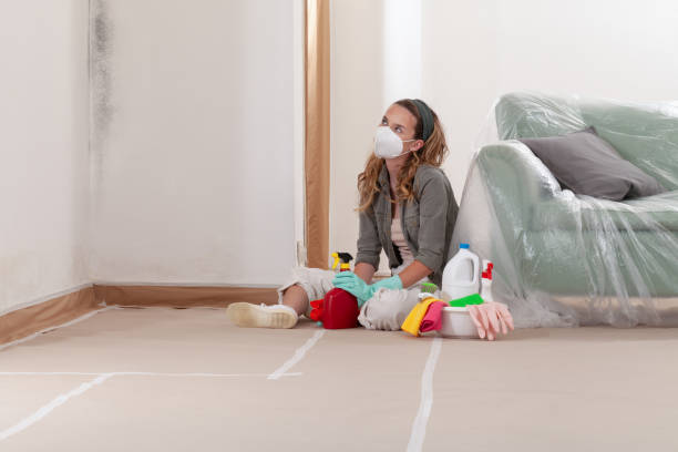 Reliable Black Mold Remediation contractor in Goodrich, MI by 24 Hour Mold Removal